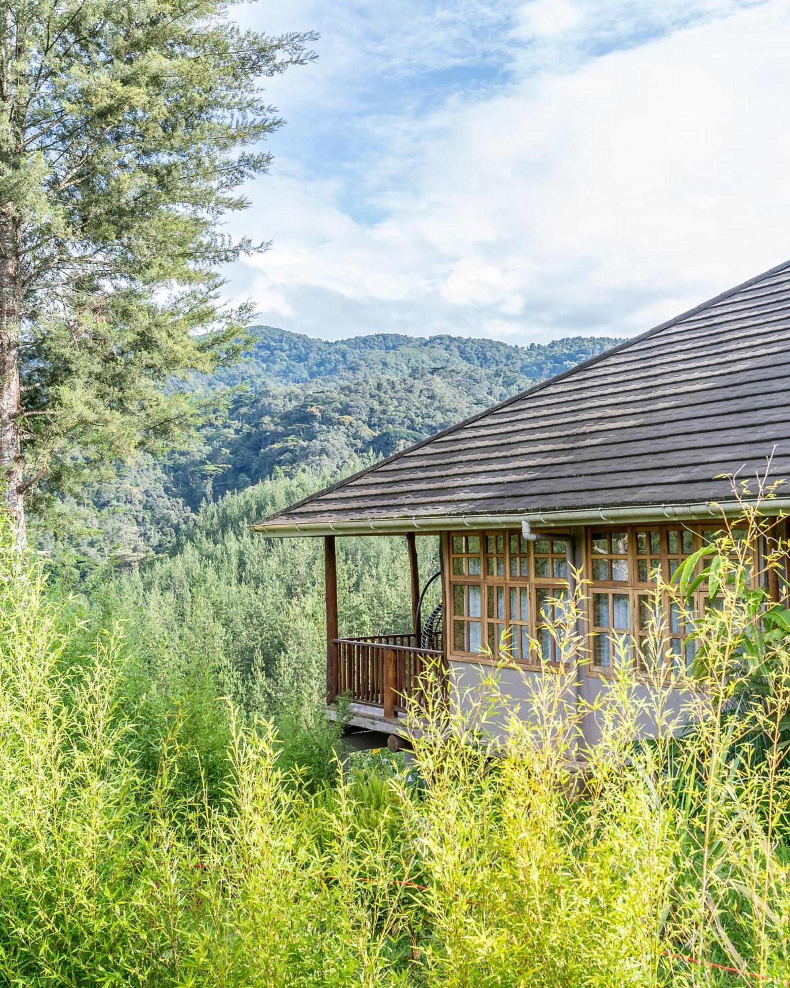 Gorilla Leisure Lodge Kisoro 外观 照片
